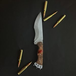 淡宵